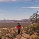 Daniel Couttolenc Lyle