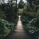 Nay Lwin Aung Nay Lwin Aung