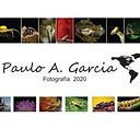 Paulo Garcia
