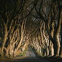 Andres Felipe Sarmiento Herrera