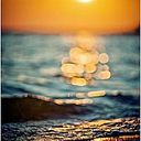 Carmen Ojeda Fernandez