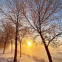 phaty_75