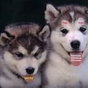 Jose Antonio Lopez Perez