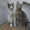 Juan Miguel Benavides