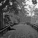 Jose Manuel Henao Duque