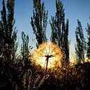 Sandra Tereza Coutinho Lucena