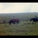 eduardo_carlos_gomez