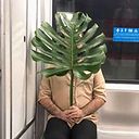 João Victor Almeida