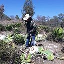 Cesar de Jesus gonzalez