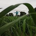 Marisol Fernández Muñoz