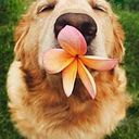 María José González Murillo