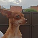 Valeria Barrios Bernabe