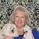 Wendy Cook