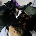 Maria Cristina Martinez