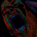 Eric Alcota Ossandón