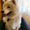 Maria Olivia Luna Sazo