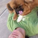 Nando Williams Torres