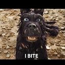 Enrique Porras Paucar