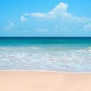 Purificación Fresneda