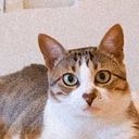 Ricardo Abbruzzini Neto