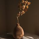 sandra jimenez osorio