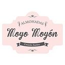 Almohadas Moyón