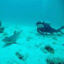 Xavier Montero Calderón