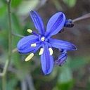 alejandra_vives_verdugo