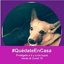 María Elena Arango R