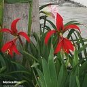 Nadia Soledad Blanco