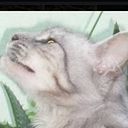 Mirtha Huss