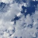 Osty Ostachuk Gurvin