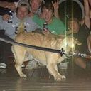 Ana Lucia Chavez Lopez