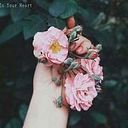 مريم احمد لبيب