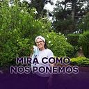Liliana Maria Marsilli