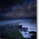 Daniel Saldaña claros