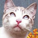 Sandra Elizabeth Azurdia Posadas