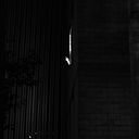 Julio Armando Eufraccio Morgado