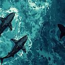 Yousi Yurani Diaz Hinestroza