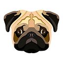 Miguel Villegas Farfan