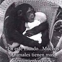 Litdt Tinoco