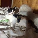 Camila Maldonado Trujillo