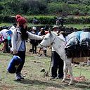 Mayra Castillo Walde