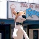 Rafael Lizaola Cortés