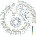 Luis Alfonso Machado Contreras