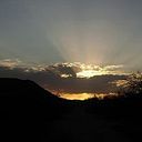 Mary Carmen Cronig Coss