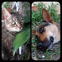 Paola Sotelo Ackerman