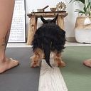 Chelo París Ayurveda