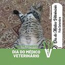 Neusa Margarida Paulo