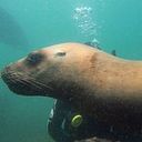 Juan Garcia-Peña